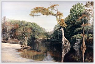 The Stalwart Cypress